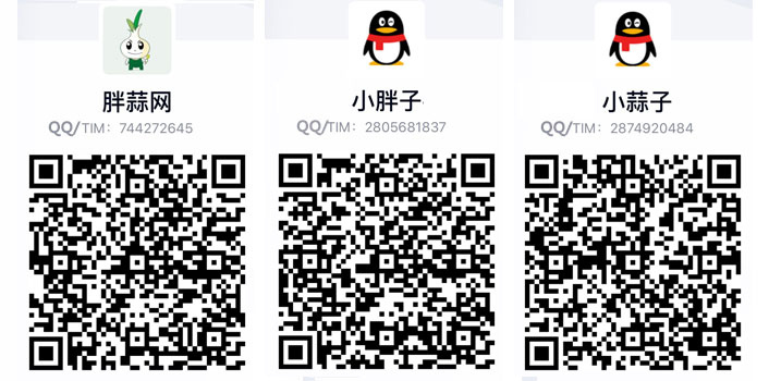 胖蒜网QQ联系方式