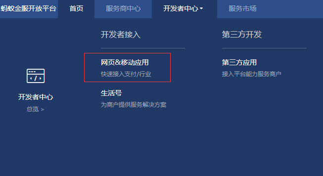 开发者中心