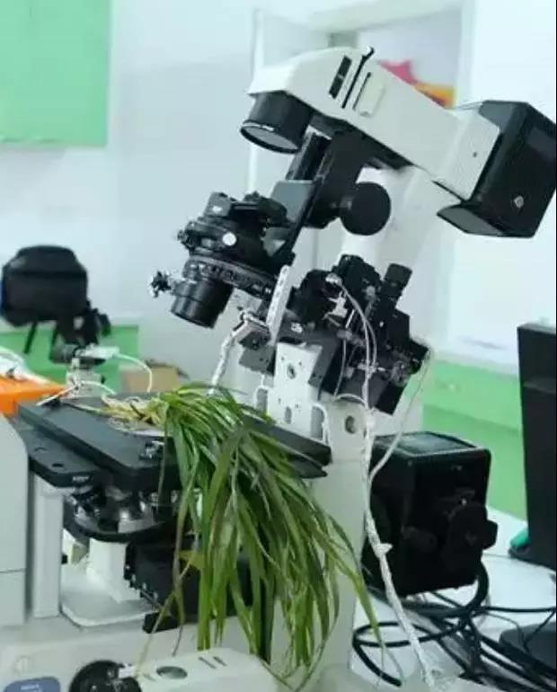 请输入图片描述